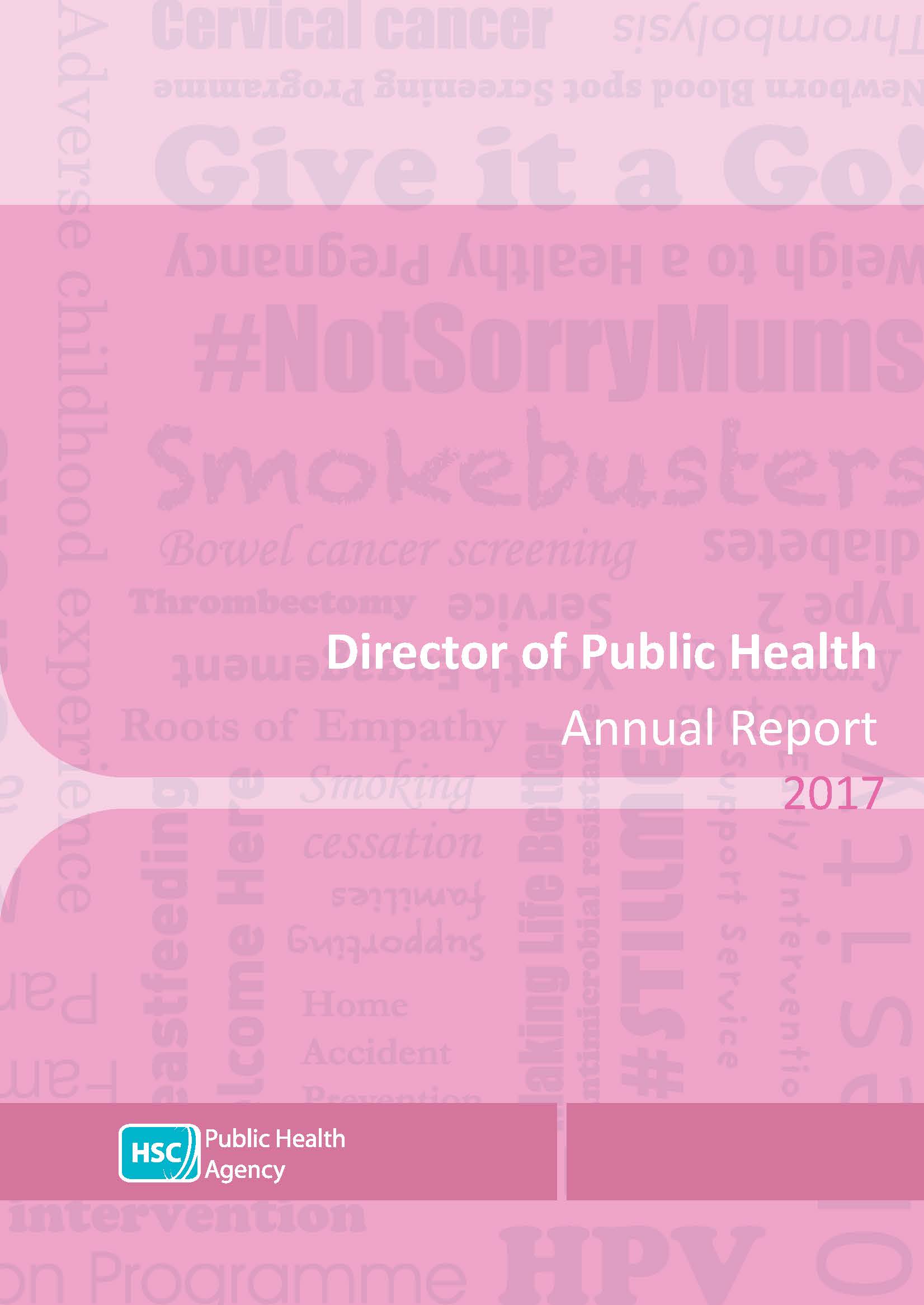 Director of Public Health Annual Report 2017