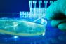 PHA publishes E. coli report
