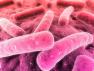 PHA Statement on Listeria outbreak