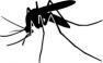 West Nile virus reported from Greece 