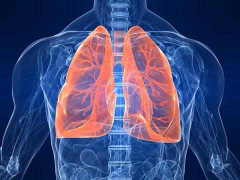 PHA research funding – helps develop a new ‘celtic gene’ drug for cystic fibrosis