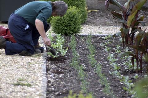 Allotment funding opportunity for community groups in the west
