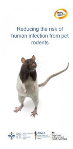 Reducing the risk of human infection from pet rodents