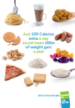 100 Calories leaflet