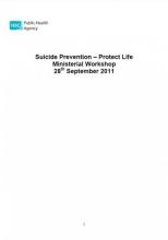 Suicide prevention - Protect Life - Ministerial workshop report