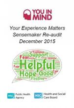 You in mind - 'Your Experience Matters’ - Sensemaker re-audit 2015