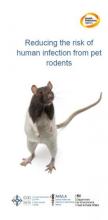 Reducing the risk of human infection from pet rodents