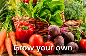 Grow your own vegetables image