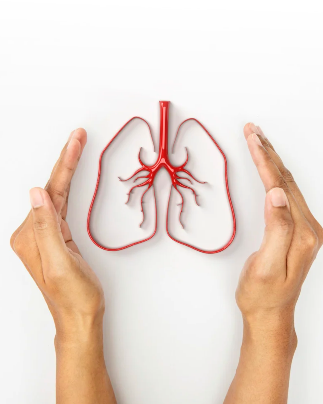Graphic showing two hands around lungs to mark Lung Cancer Awareness Month