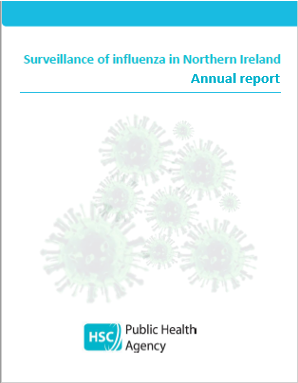annual report influenza