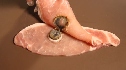 An image showing the damage a button battery can do, having melted through two slices of bacon.