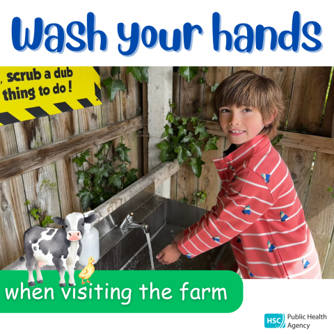 hand washing
