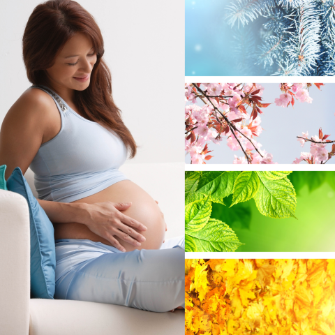 pregnant woman