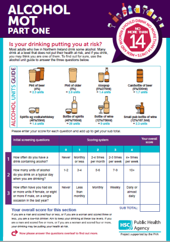 Front cover of Alcohol MOT