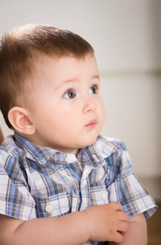Baby’s Day Out book – fun for tots and great for families 