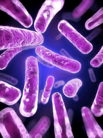 Viral vs bacterial – what’s the difference? Viral vs bacterial – what’s the difference?