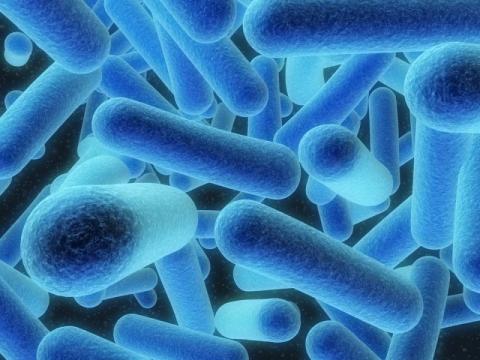Batch recall of Lloyd Grossman Korma sauces following botulism link Batch recall of Lloyd Grossman Korma sauces following botulism link