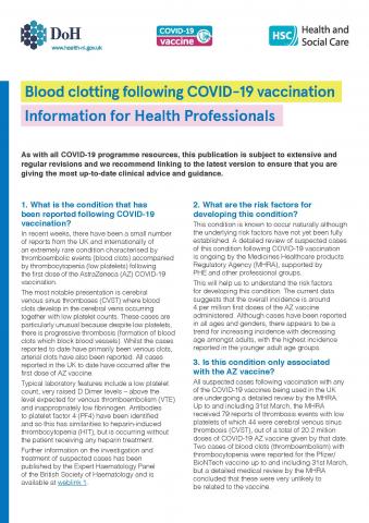 blood clot professionals factsheet image