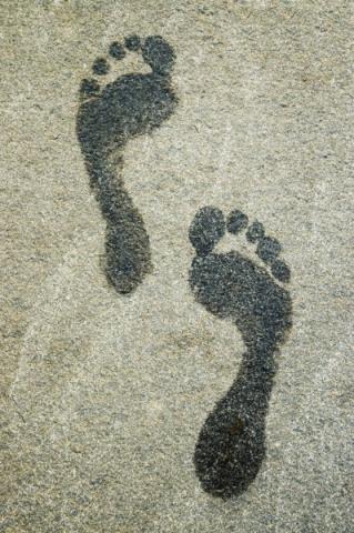 Reduce your carbon footprint and improve health, say PHA Reduce your carbon footprint and improve health, say PHA