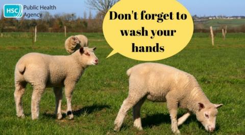 Remember to wash your hands after visiting the farm Remember to wash your hands after visiting the farm