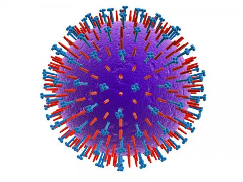 Swine flu activity continues to decrease further Swine flu activity continues to decrease further