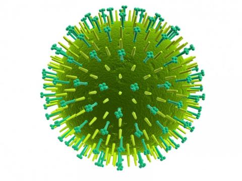 Child from Republic of Ireland dies from swine flu Child from Republic of Ireland dies from swine flu