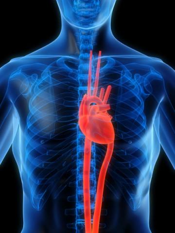 For your heart’s sake stop smoking