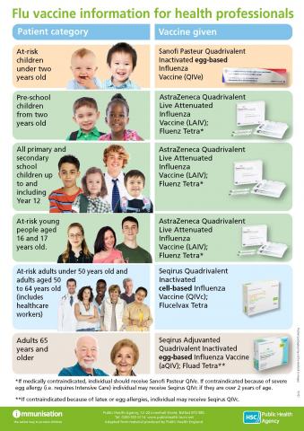 Flu poster for professionals image