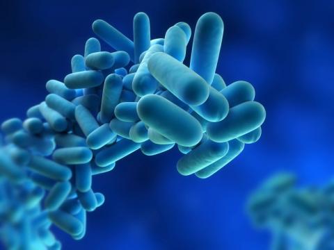 Warning to travellers about Legionnaires cases in Spain Warning to travellers about Legionnaires cases in Spain