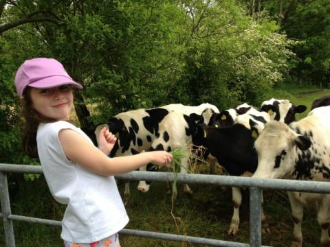 Remember to 'wash your hands after visiting the farm' Remember to 'wash your hands after visiting the farm'