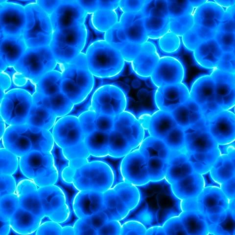 PHA calls for vigilance over vomiting virus PHA calls for vigilance over vomiting virus