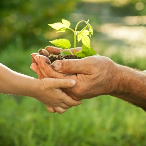Bringing generations together Bringing generations together