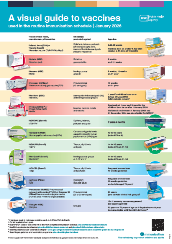 Image of the visual guide to vaccines poster for healthcare professionals showing vaccine packaging