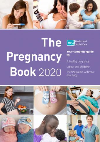 Cover of The Pregnancy Book 2020