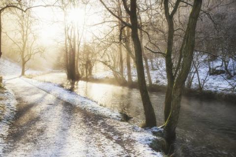 Look out for your neighbours during cold spell