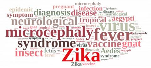 PHA Zika advice for male travellers PHA Zika advice for male travellers