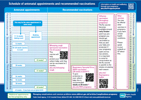 antenatal appointments 