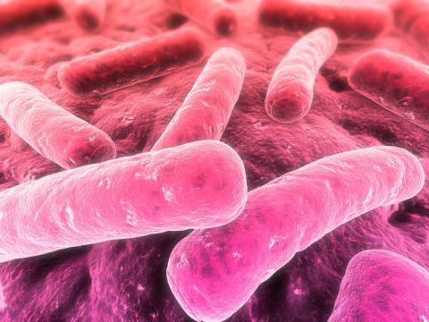 PHA Statement on Listeria outbreak PHA Statement on Listeria outbreak
