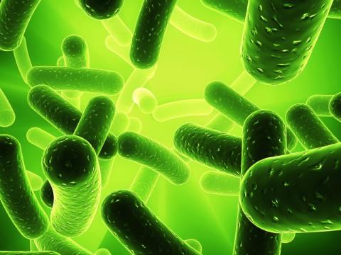 Survey shows improvements in hospital acquired infections Survey shows improvements in hospital acquired infections