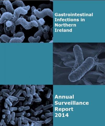 Gastrointestinal Infections Annual Surveillance Report 2014