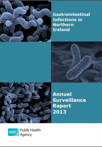 Gastrointestinal Infections Annual Surveillance Report 2013