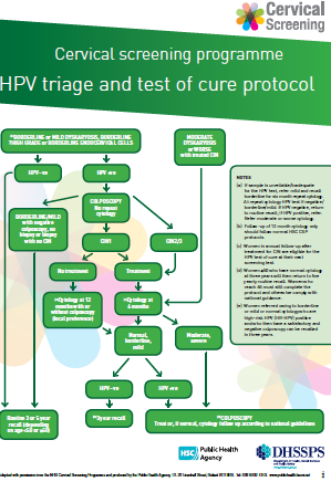 hpv triage definíció