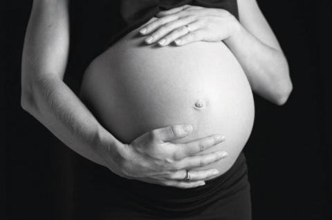Important advice to pregnant women during lambing season Important advice to pregnant women during lambing season