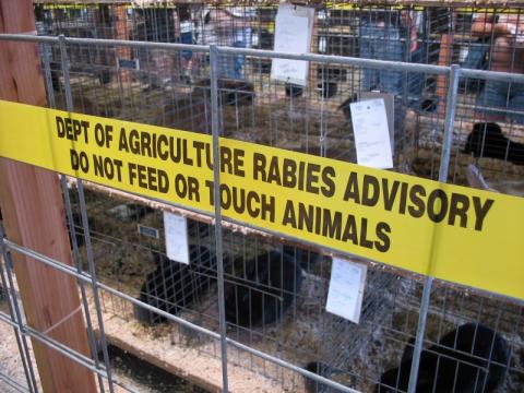 Public Health Agency advises on rabies risk of animal bites in Turkey Public Health Agency advises on rabies risk of animal bites in Turkey