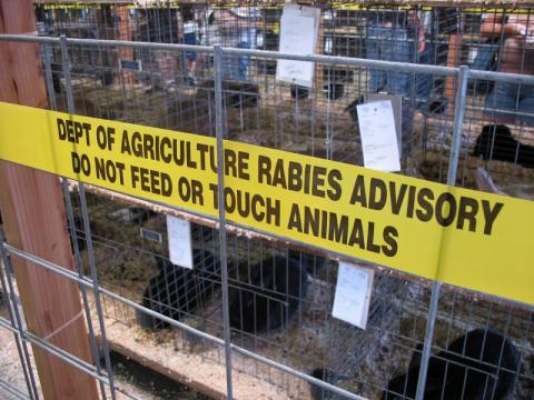 Rabies – it can be a fatal bite Rabies – it can be a fatal bite