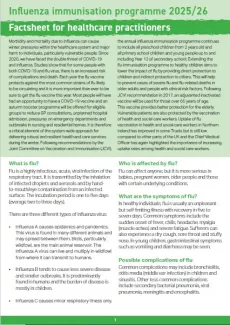 Cover image of the Flu vaccine factsheet for healthcare practitioners