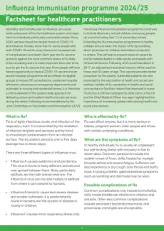 Flu factsheet for healthcare professionals cover image