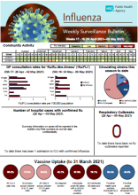 flu vaccine 17