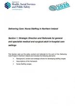 Phase 1 Delivering care “A framework for nursing and Midwifery Workforce planning to support person centred care in Northern Ireland