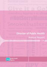 Director of Public Health Annual Report 2017 
